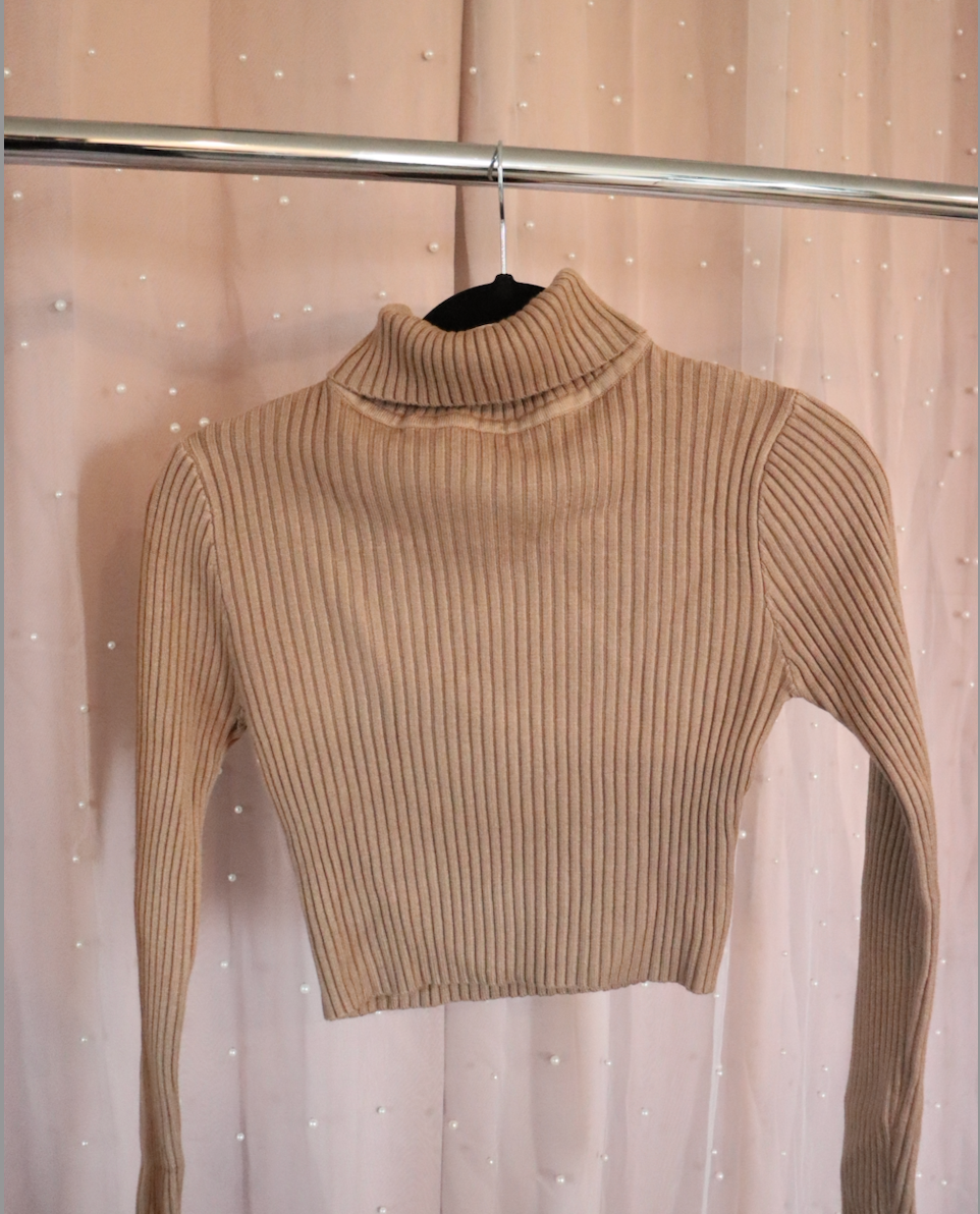 Ribbed Crop Turtle Neck Sweater