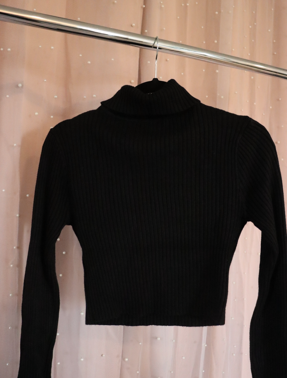 Ribbed Crop Turtle Neck Sweater